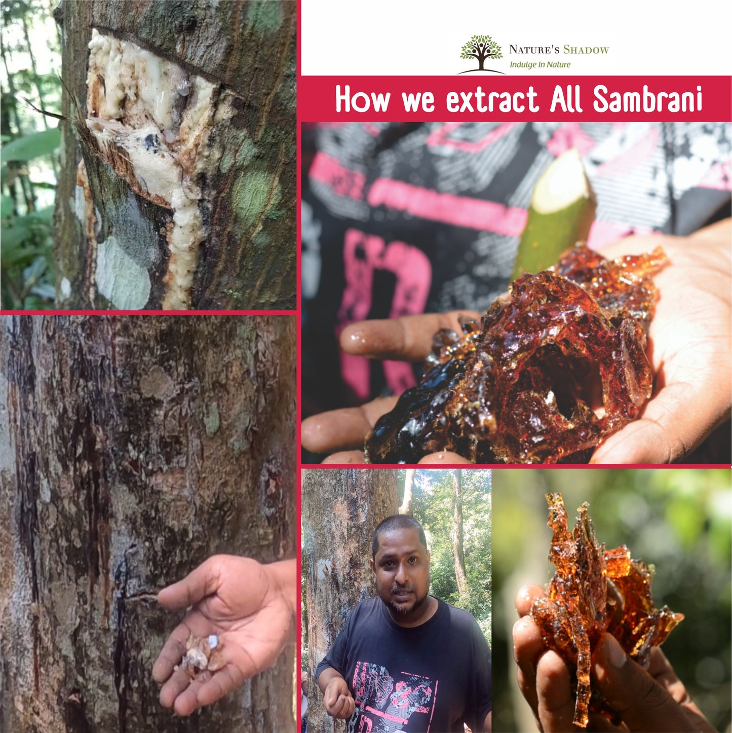 Original Sambrani Gum / Gum Benzoin / Loban