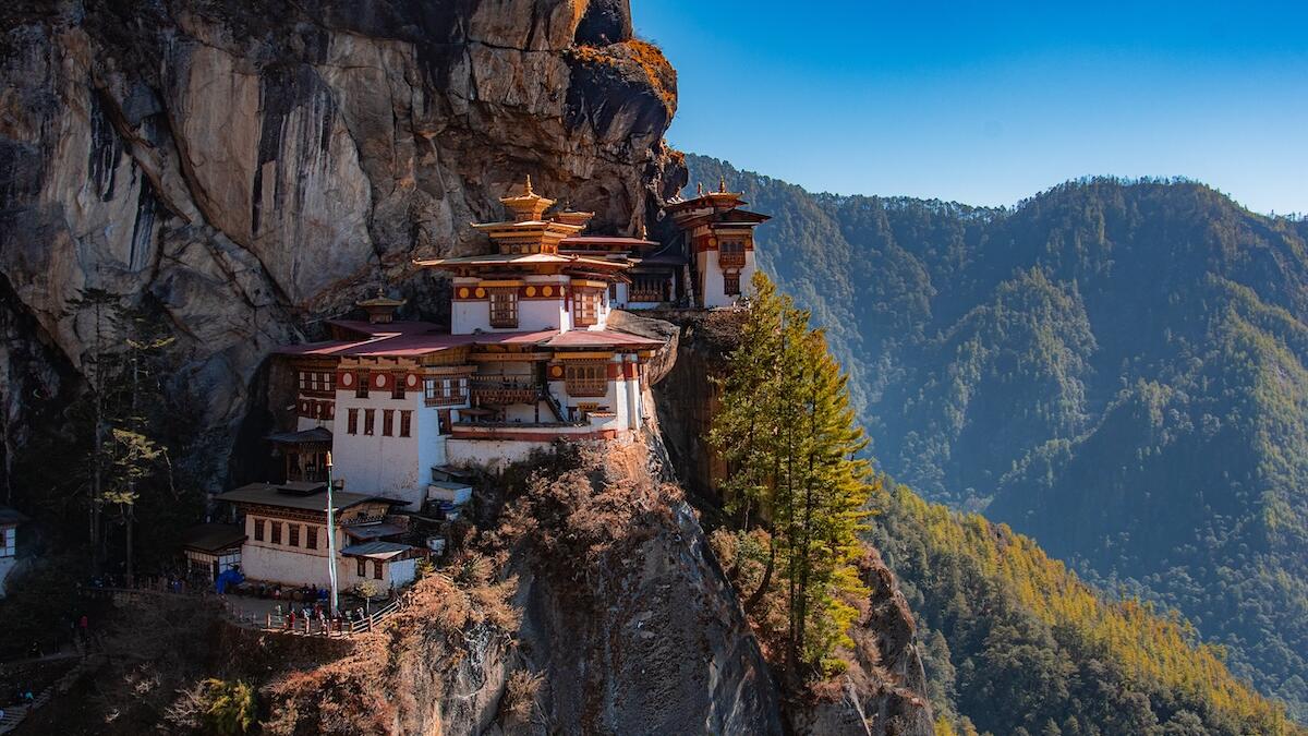 BHUTAN - Burrow Honey Or Honey From Bushes Or Cliffs In The Wilderness Of Bhutan Direct Extraction - Hunt During The Month Of Feb 2026