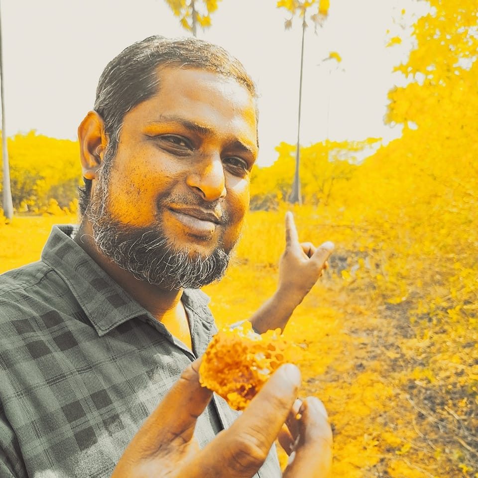 Burrow Honey From The Wilderness Of South Regions Of Tamilnadu - Extraction Before Mid Of September 2025