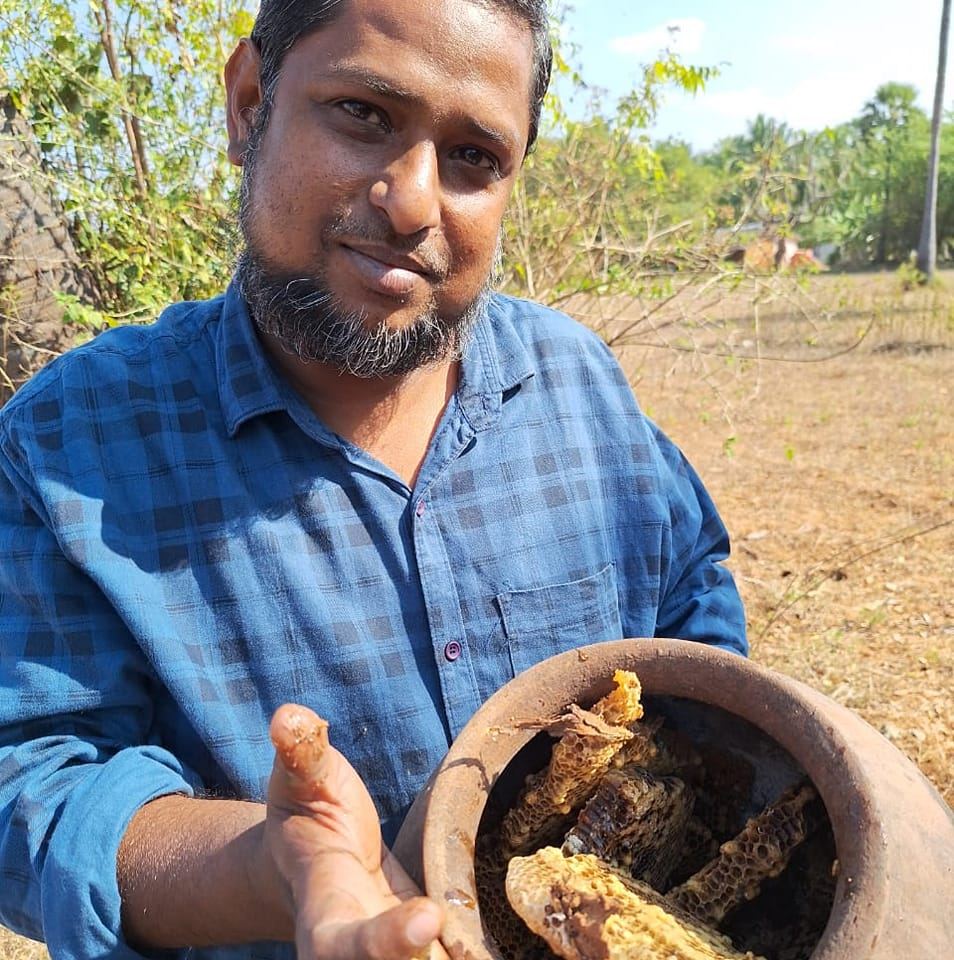Seasonal Nectars - Wild Honey With The Hive And Pollen And Everything A Hive Holds - From Seasonal Nectars - Honey Won't Be Squeezed - Delivery Anytime Before End Of Feb 2026