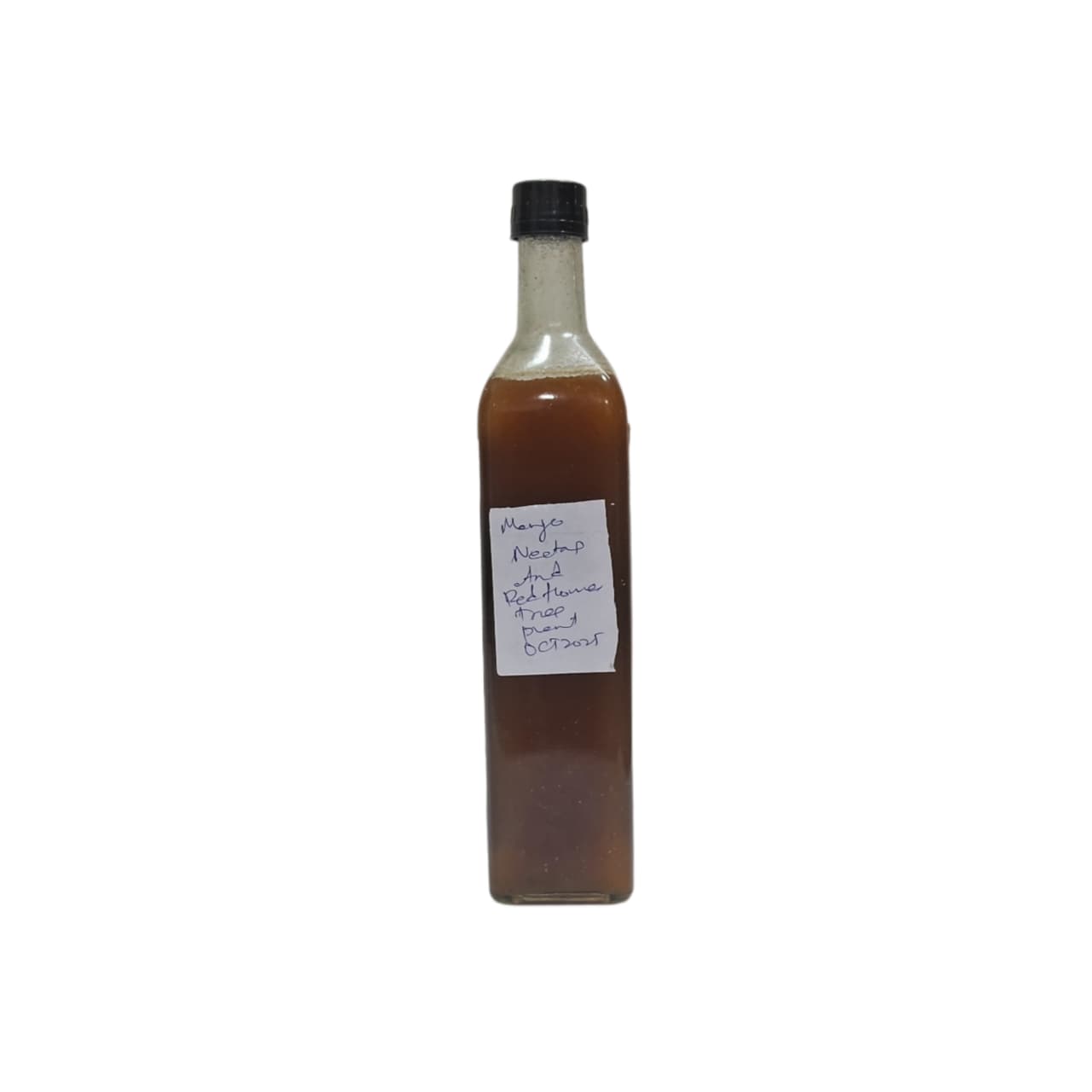 Mixture Of Mango Nectar And Red Flower Tree Pant Flowers - Burrow Honey - 1 Kg