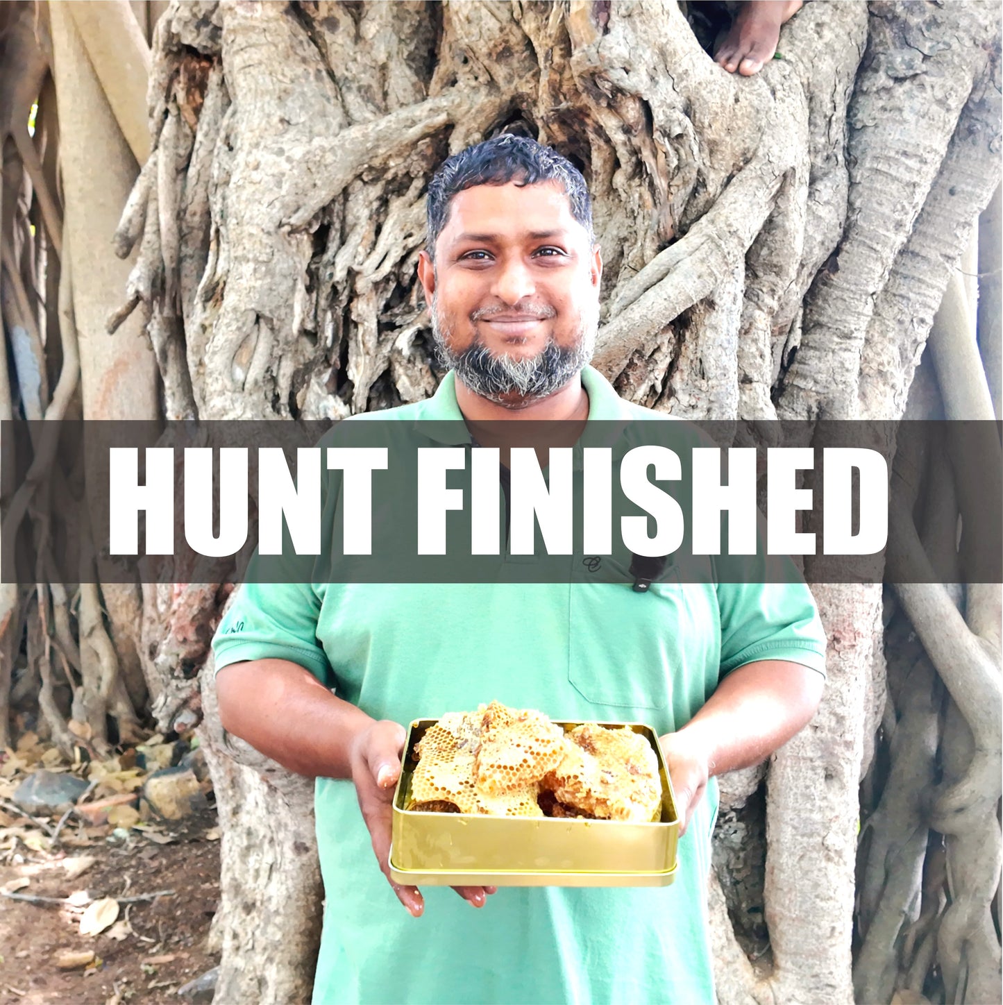 Entire Hive Of Burrow Honey From The Wilderness Of South Regions Of Tamilnadu - Extraction in the Month of May 2025 - In Tin Boxes