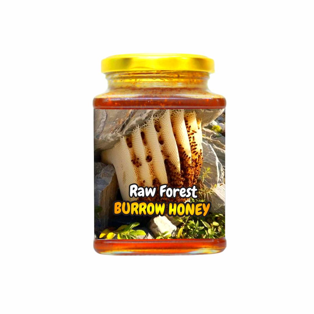 Burrow Honey From The Forests - Pondhu Thaen