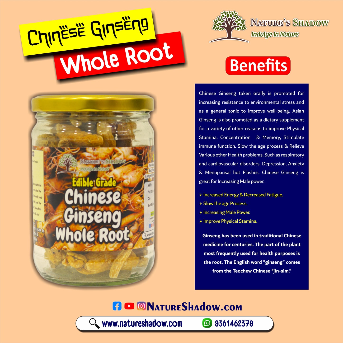 Chinese Ginseng Whole Root - 100 Grams