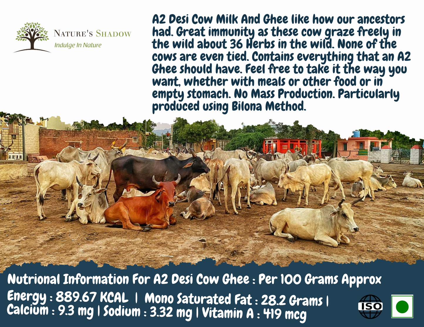 A2 Cow Ghee - From Gir Cows That Graze 36 Herbs In The Wild - Bilona Method