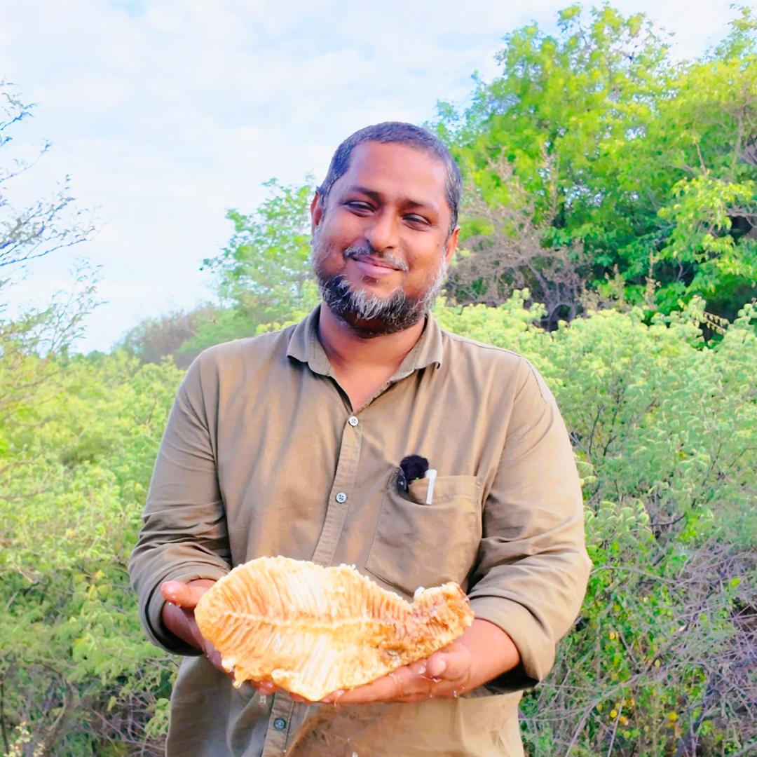 Seasonal Nectars - Wild Honey With The Hive And Pollen And Everything A Hive Holds - From Seasonal Nectars - Honey Won't Be Squeezed - Delivery Anytime Before End Of Feb 2026