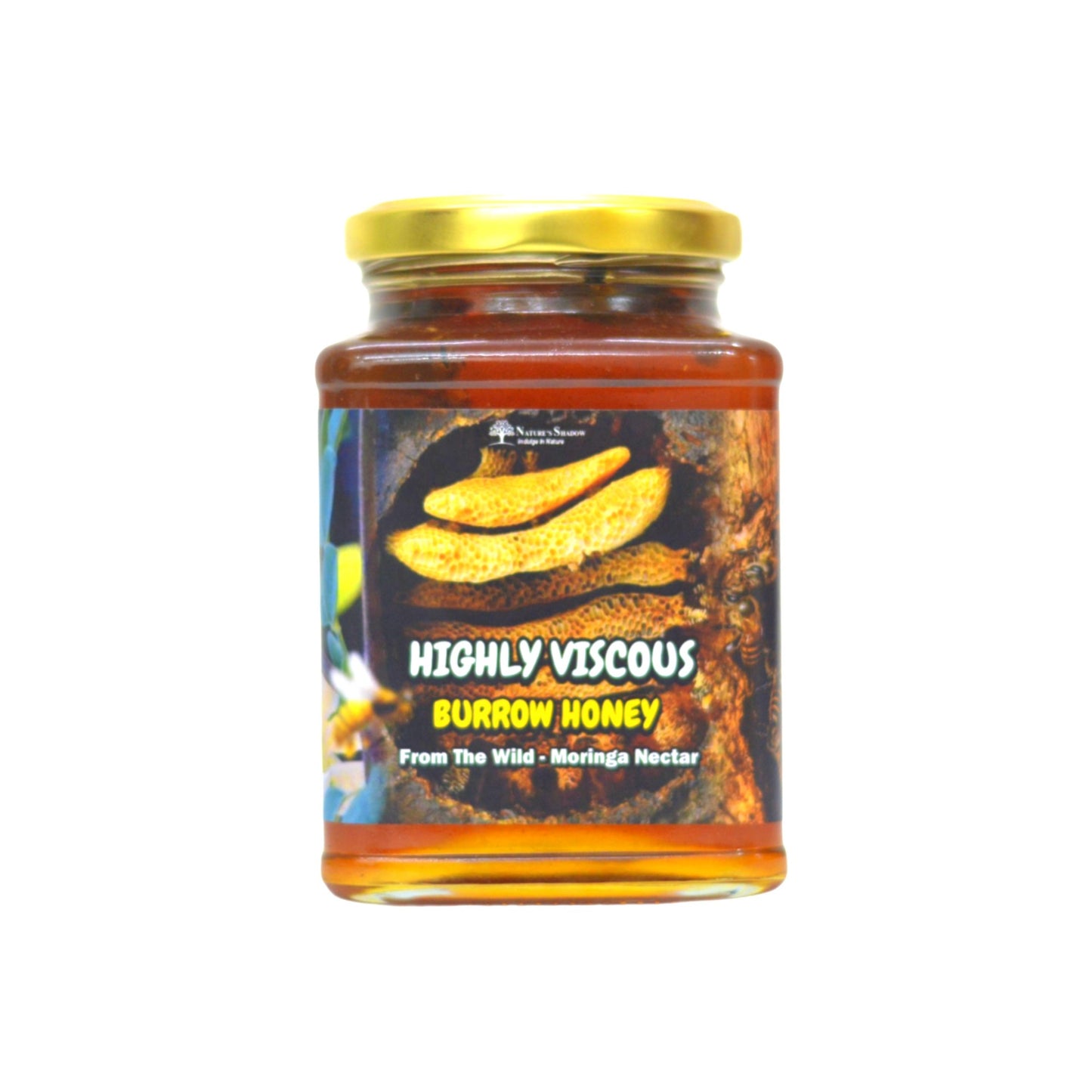 Thick And Highly Viscous Burrow Honey From The Nectars Of Wild Moringa Flowers