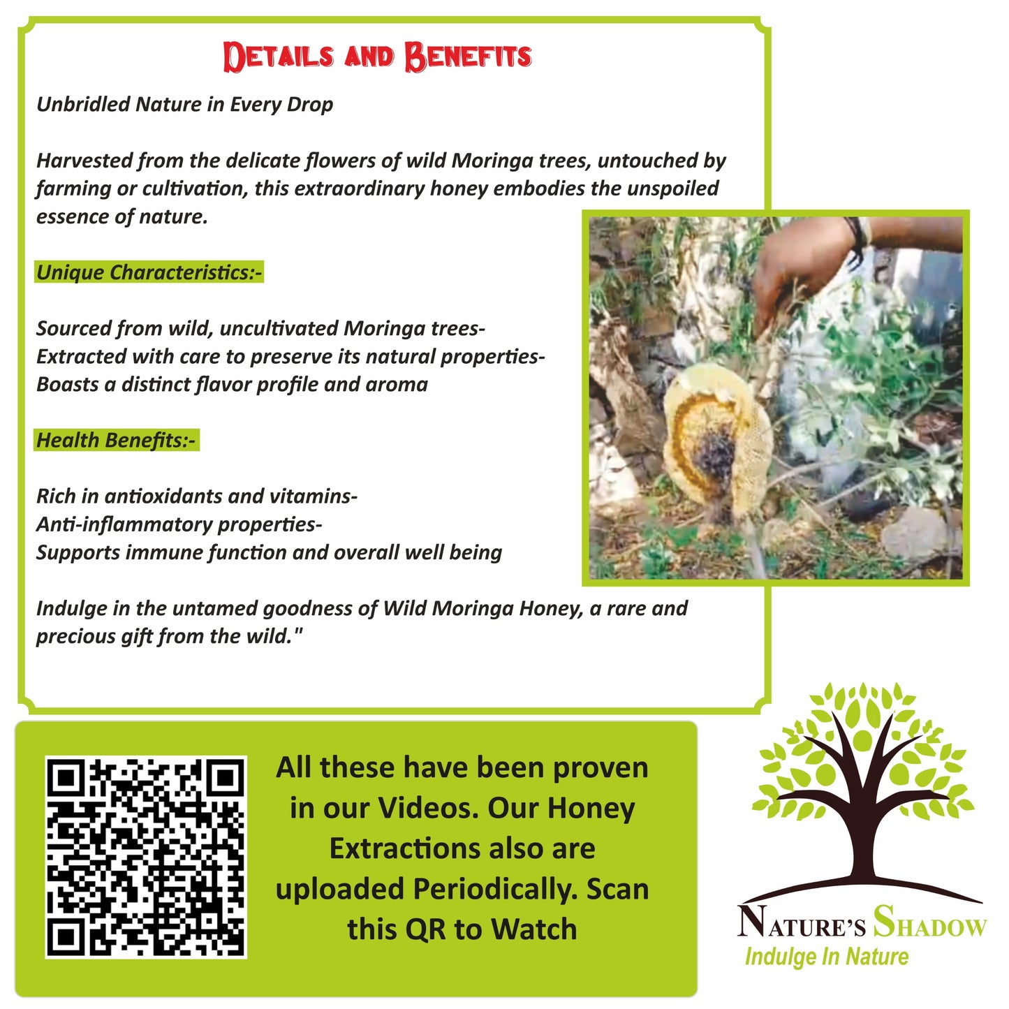 Wild Honey From The Moringas In The Wild - Drumstick Honey (Moringa Honey)