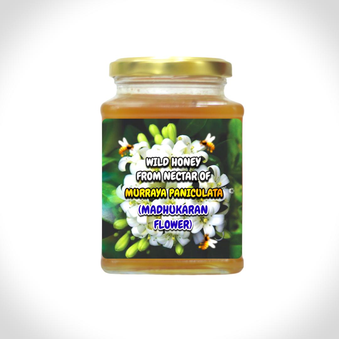 Kaattu Malli Honey - Wild Honey From The Nectars Of Murraya Paniculata (Madhukaran Poo)