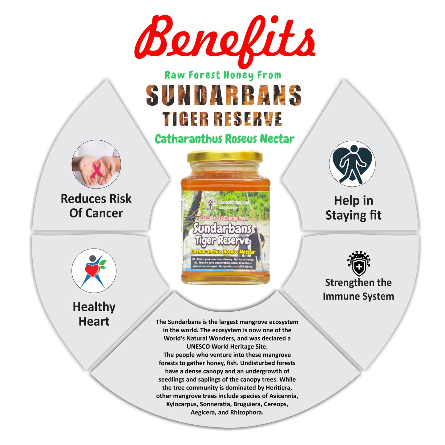 Sundharbans Tiger Reserve's - Raw Forest Honey - Catharanthus Flower Nectar