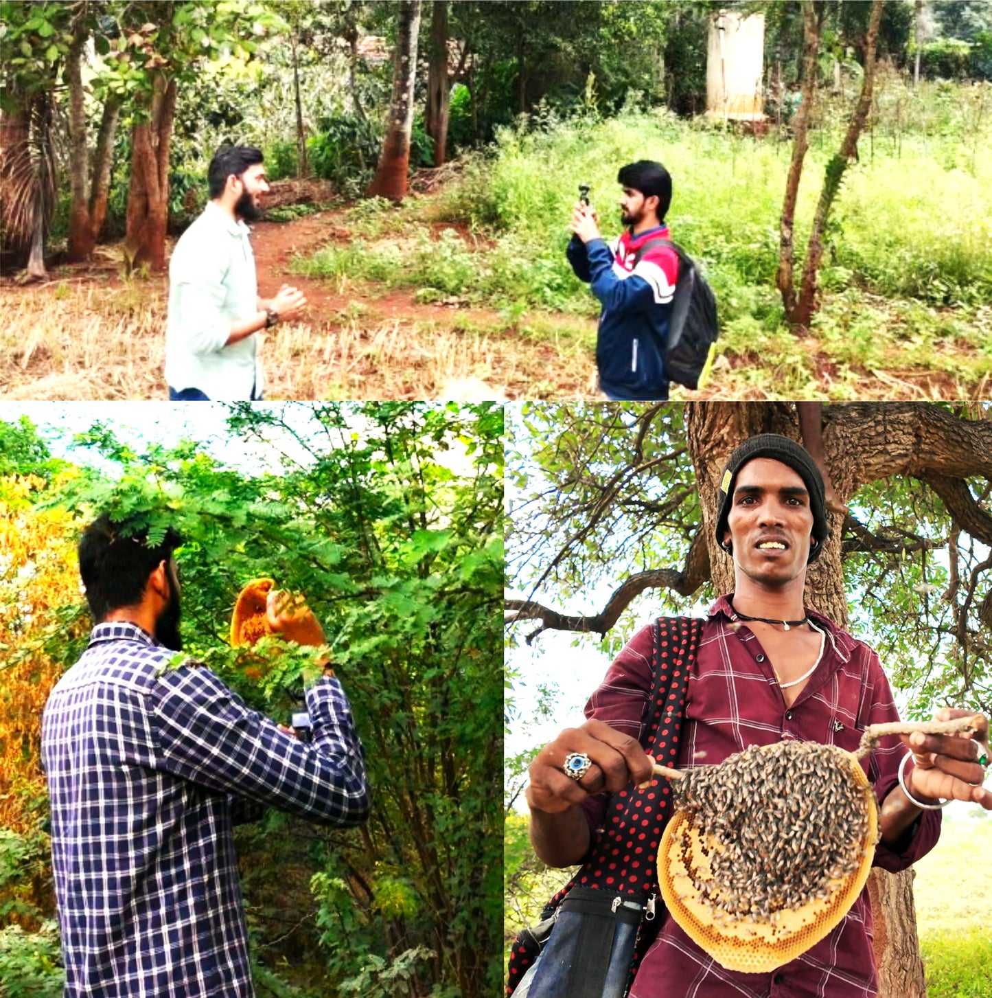 Wild Cliff Honey with Balloon Vine Herb Nectar