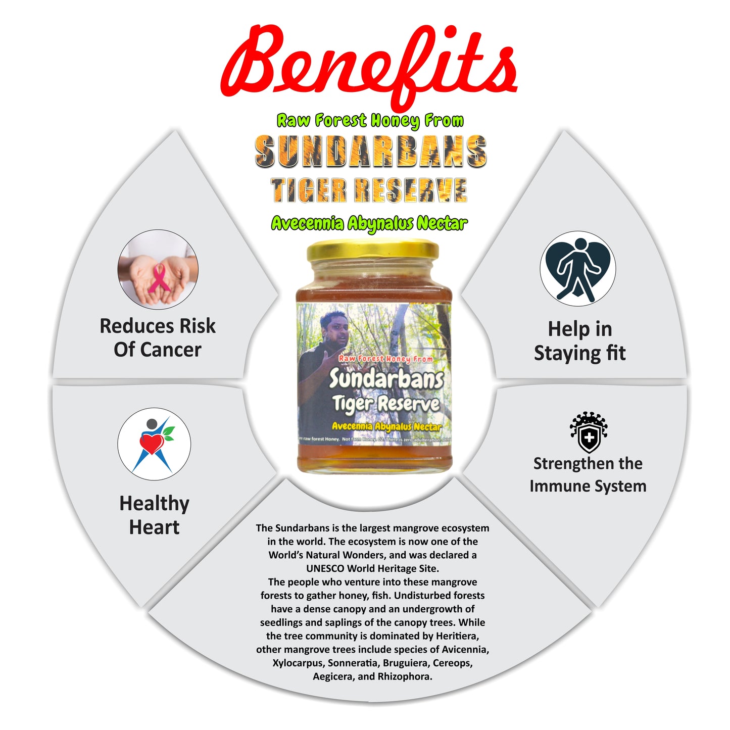 Sundharbans Tiger Reserve's - Raw Forest Honey - Avecennia Abynalus Nectar