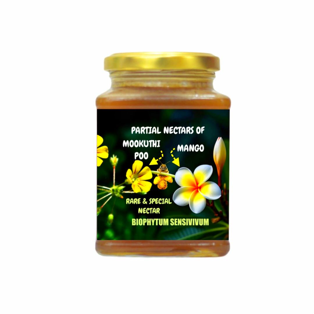 Wild Honey From The Mango Nectars And Biophytum sensitivum - Partial Nectars