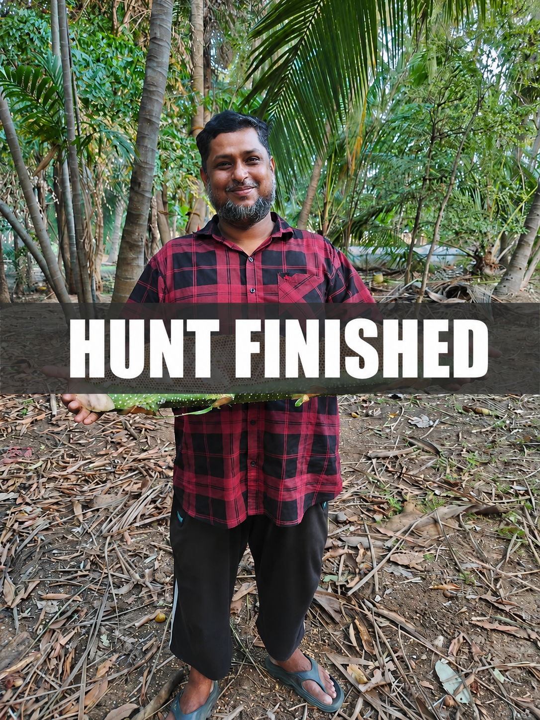Seasonal Nectars - With The Hive - Wild Honey And Pollen And Everything A Hive Holds - From Seasonal Nectars - Honey Won't Be Squeezed - Delivery Anytime In Mid Of July 2026