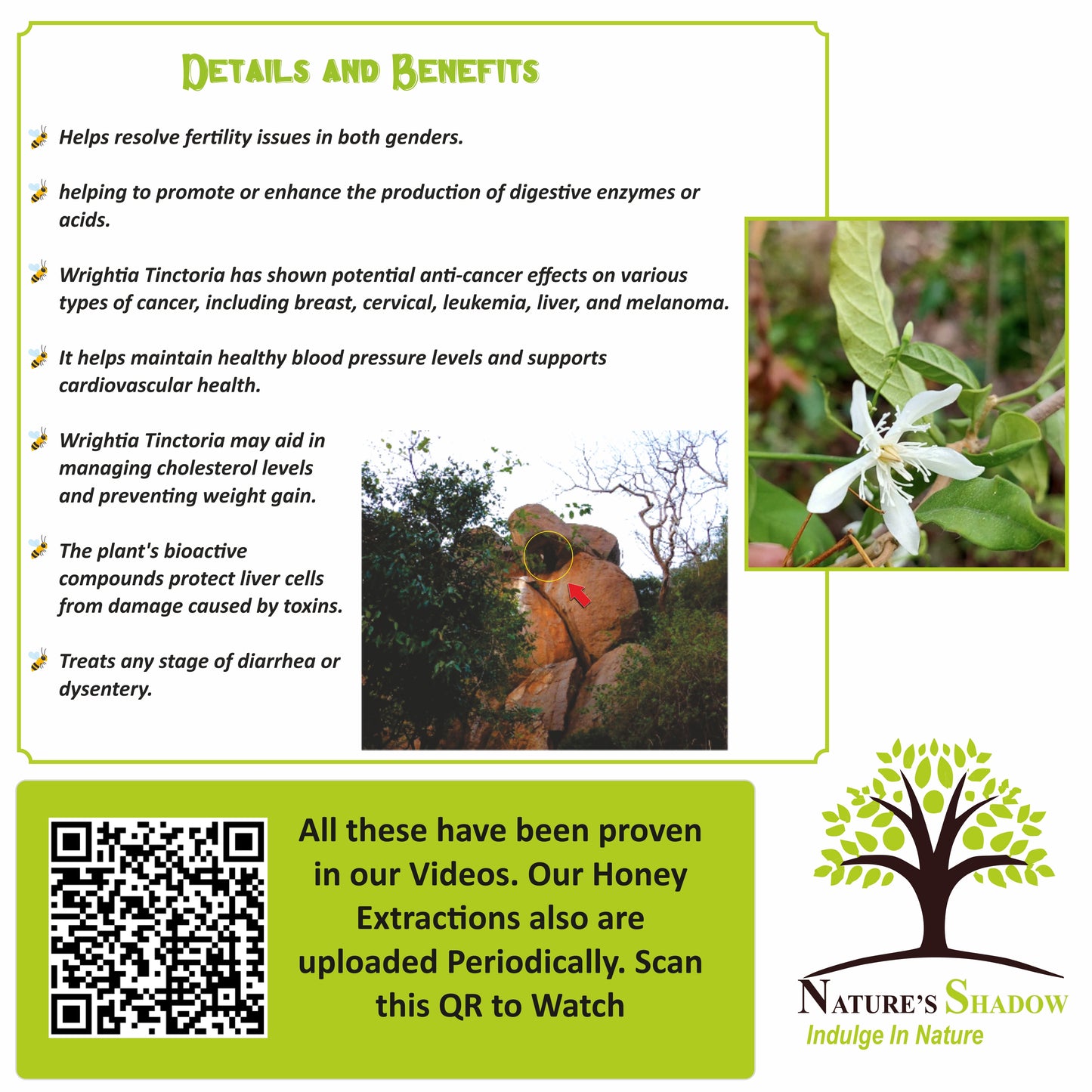 Wild Wrightia Tinctoria Honey (Paalai Poo Honey)