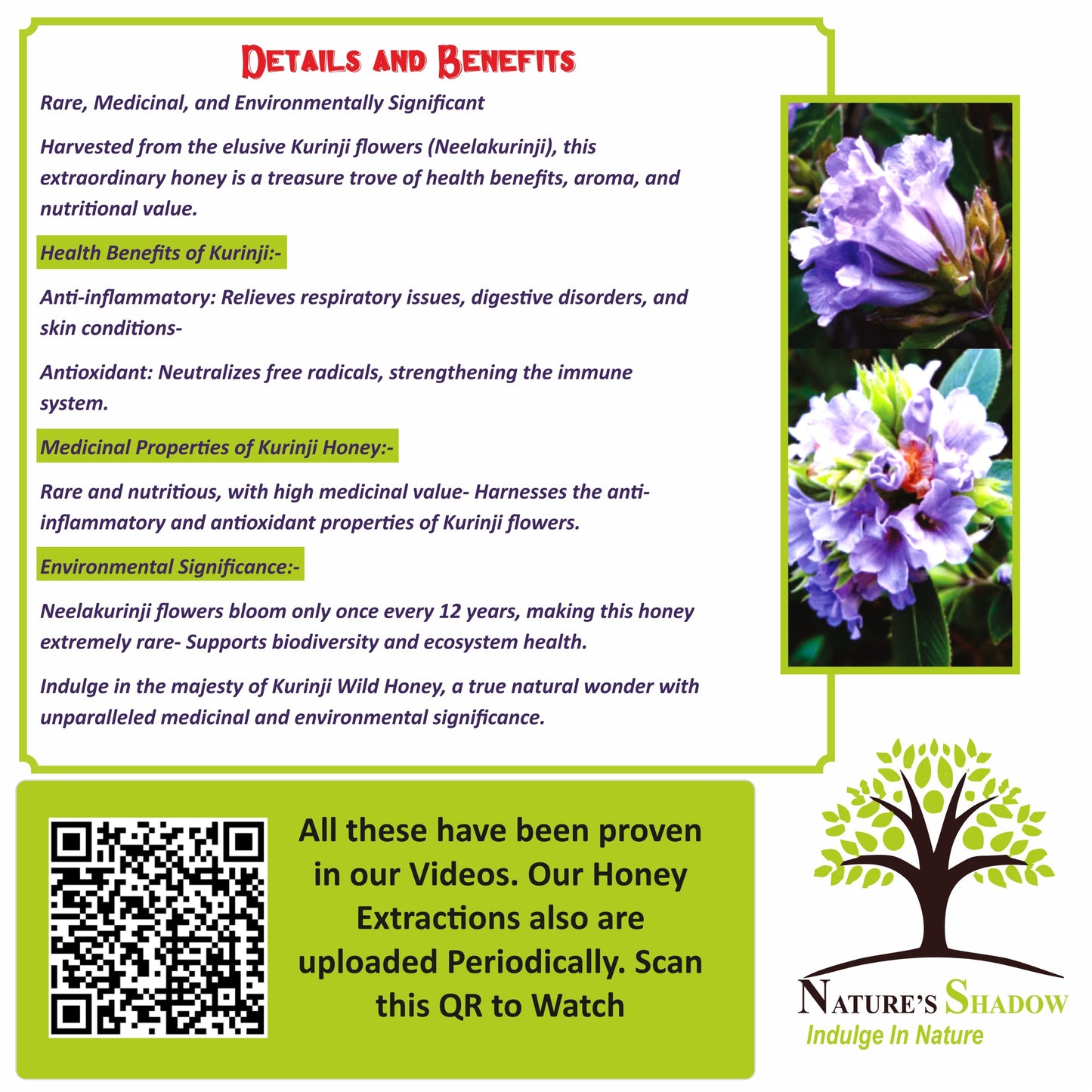 Wild Kurinji Flower Honey