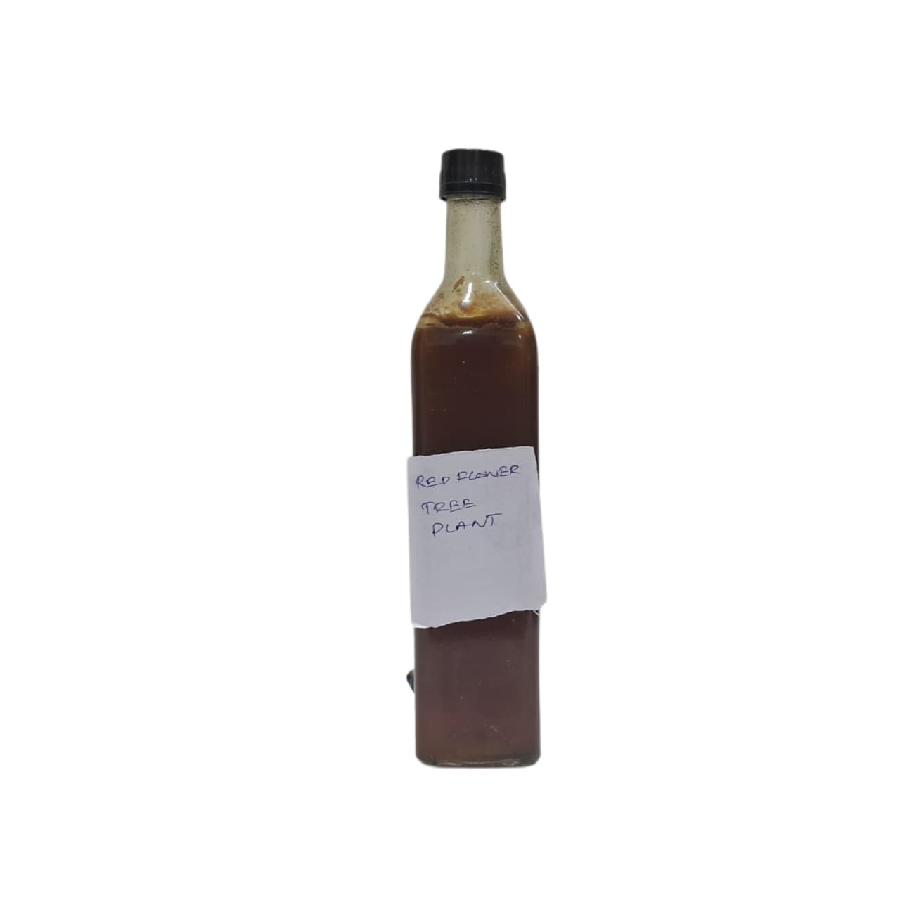 Stingless Bee Honey From Mango Farms - 1 Kg - Oct 2025