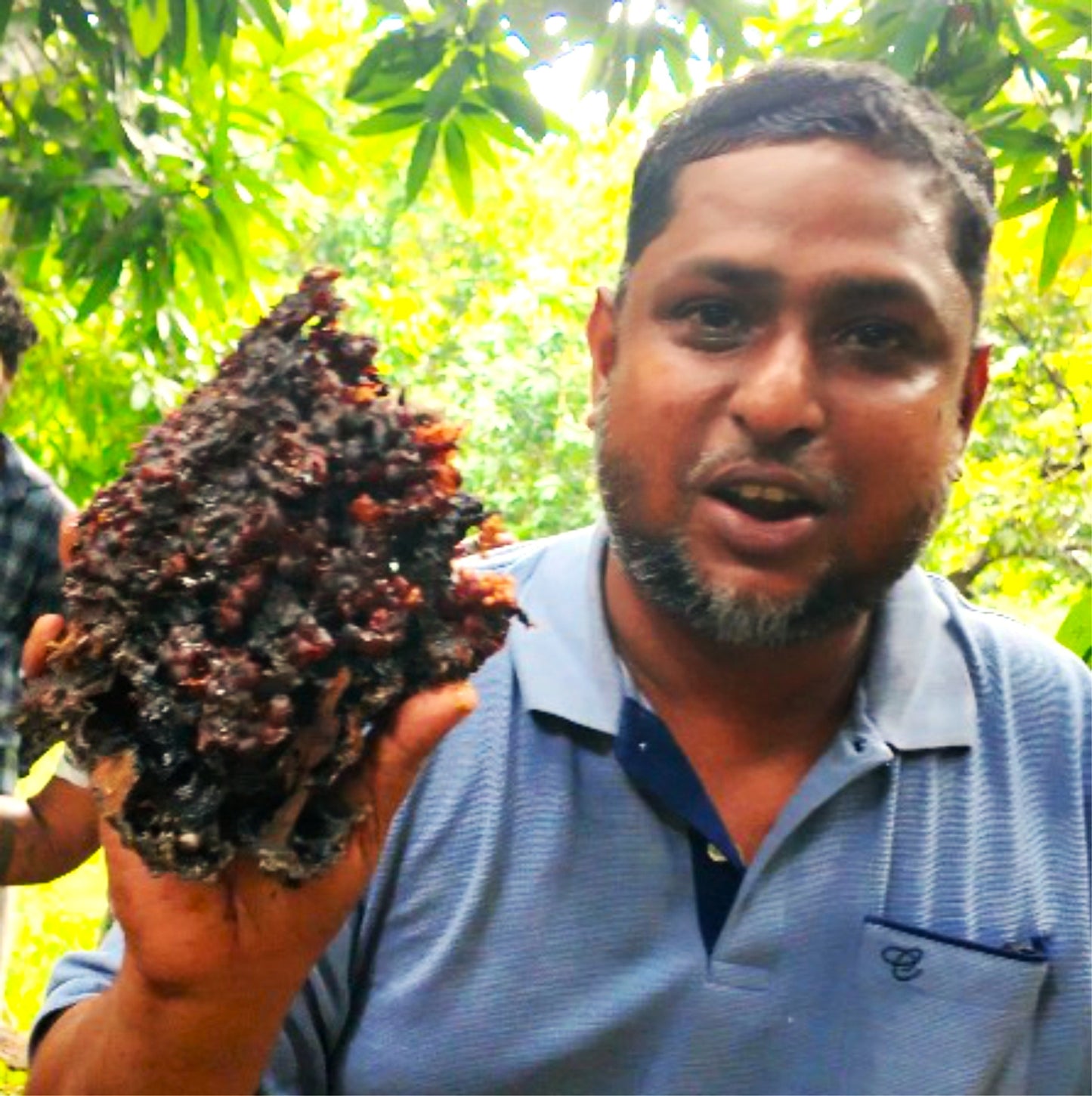 Stingless Bee Honey Red Pollen From South Tamil Nadu - In The Month Of June 2025