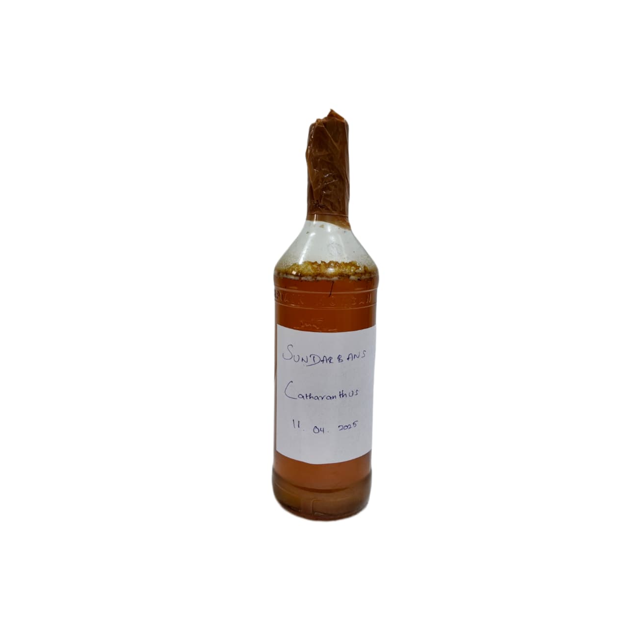 Sundharbans Catharanthus Flower - Nithya Kalyani - With High Fermentation Extraction on 11-Apr-2025
