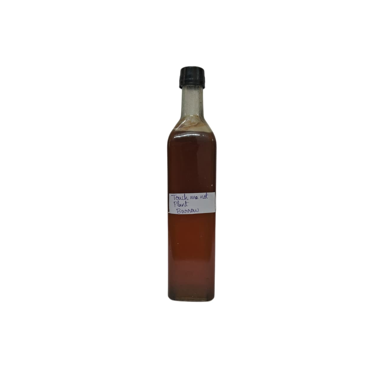 Touch Me Not Plant Nectar From Burrow Honey - 1 Kg