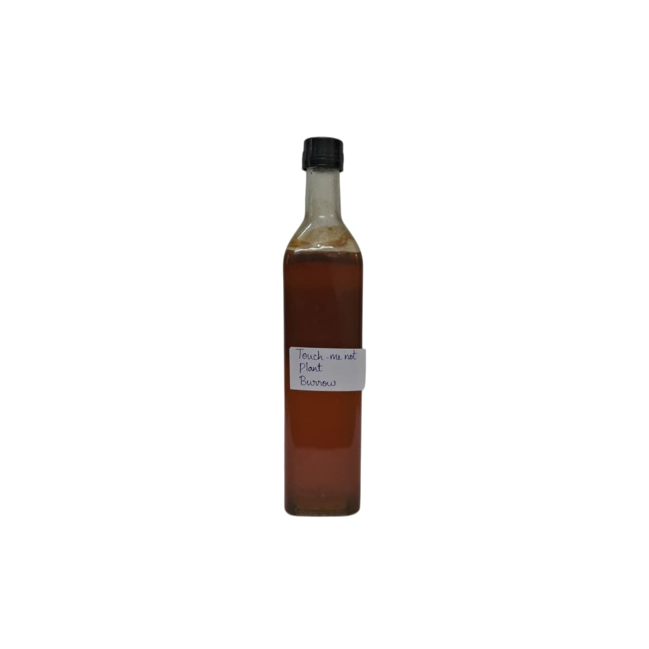 Touch Me Not Plant Nectar From Burrow Honey - 1 Kg
