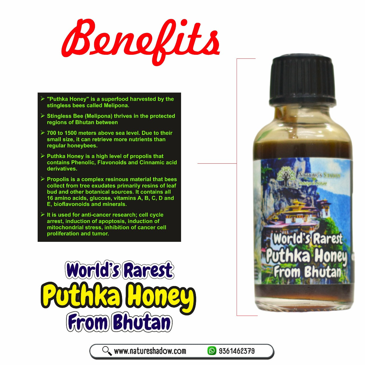 World's Rarest Puthka Honey From Bhutan - 40 Grams