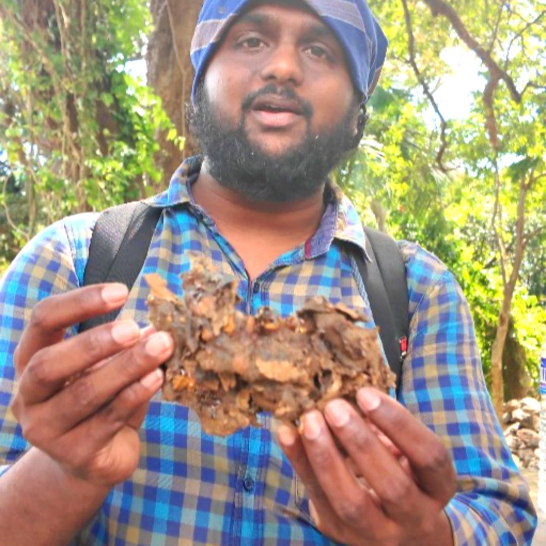 Stingless Bee Honey Red Pollen From South Tamil Nadu - Before 10th Of September