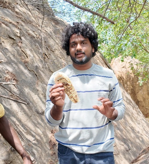 Either Of Burrow Honey Or Kombu Honey From The Wilderness Of South Regions Of Tamilnadu - Extraction Before The 10th Of October