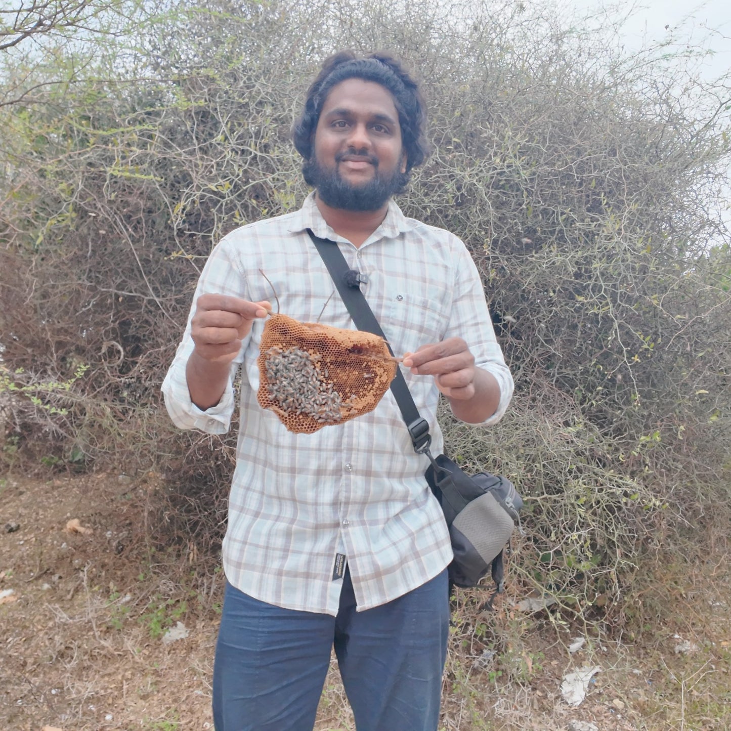Either Of Burrow Honey Or Kombu Honey From The Wilderness Of South Regions Of Tamilnadu - Extraction Before The End Of October 2025