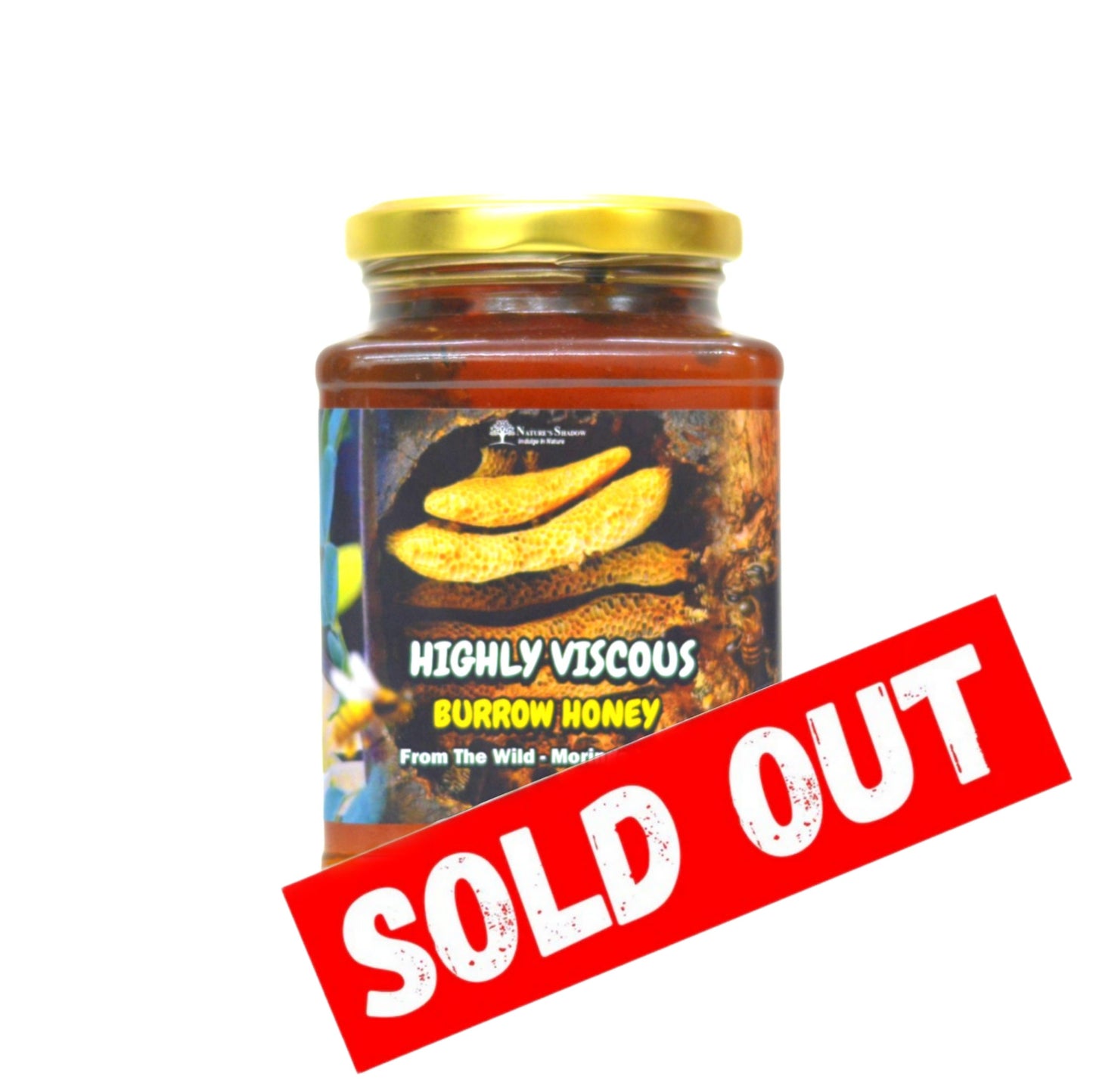 Thick And Highly Viscous Burrow Honey From The Nectars Of Wild Moringa Flowers