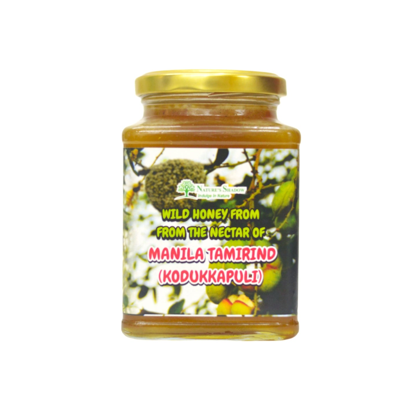 Wild Honey From The Wild Manila Tamarind Nectar (Kodukka Puli Honey)