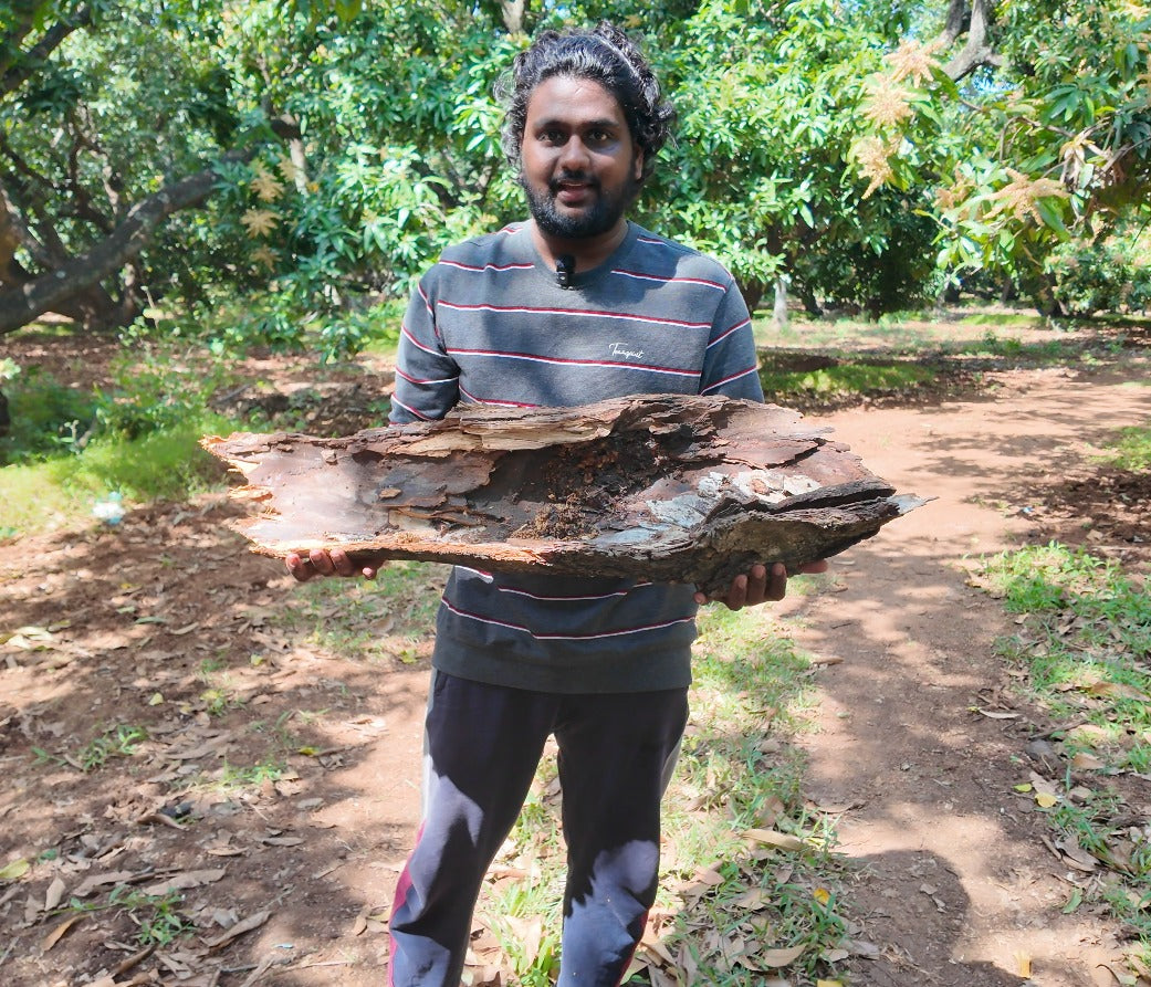Stingless Bee Honey Red Pollen From South Tamil Nadu - Before The End Of October 2025