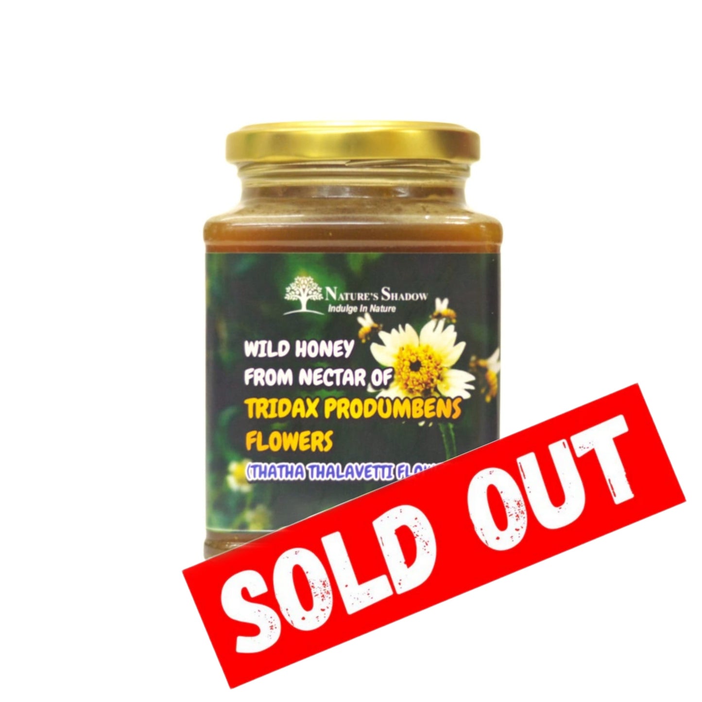 Thatha Thalavetti (Tridax procumbens) Wild Honey