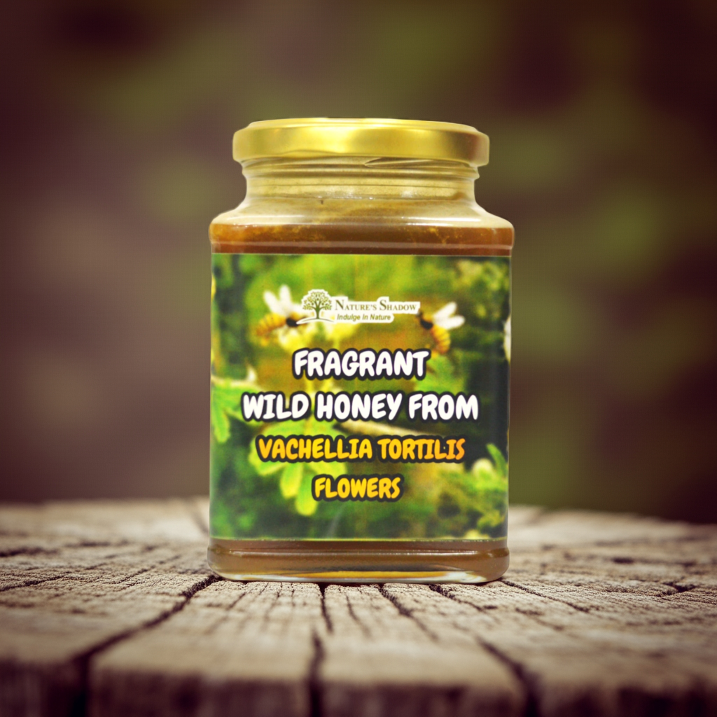 Fragrant And Aromatic Wild Honey From Vachellia Tortilis Flowers (Seeththai Poo In Tamil)