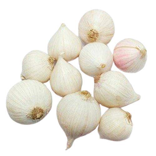 Single Clove Garlic For Weight Loss- 1 Kg