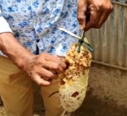 Raw Forest Kombu Thaen - Kombu Honey