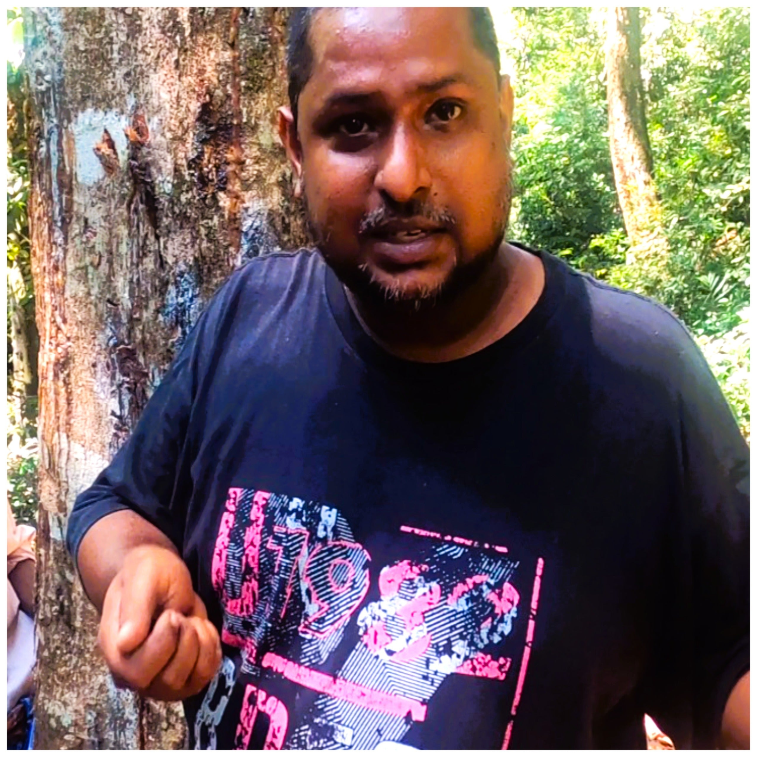 Original Natural Perfumes, Natural Incense And Burners - Original Tree Gums