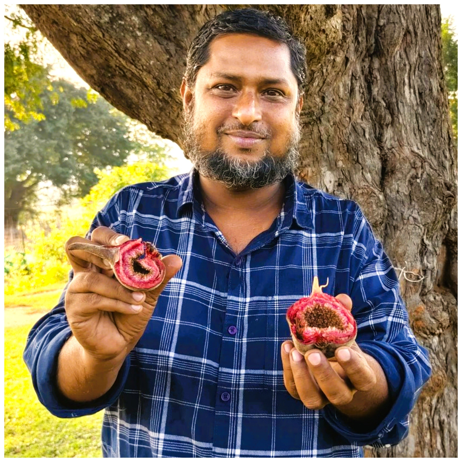 Nuts, Spices, Seeds And Dry Fruits