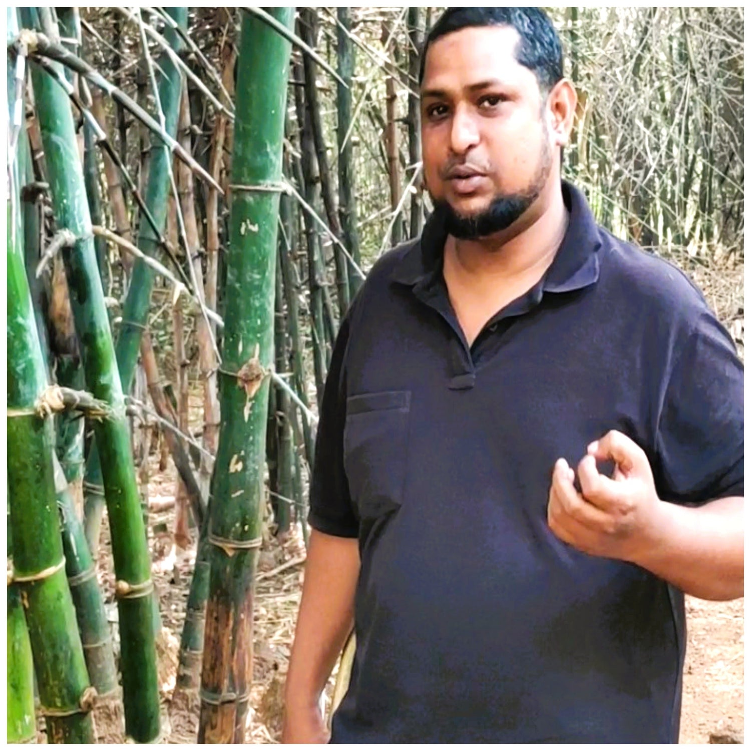 Bamboo Products