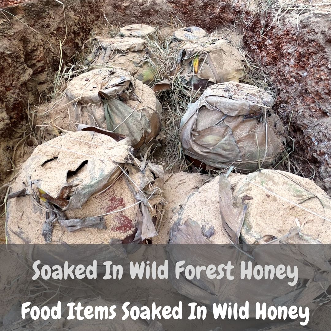 Soaked In Wild Forest Honey