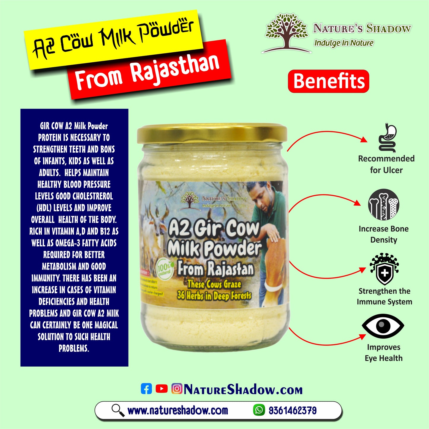A2 Gir Cow Milk Powder From Rajasthan - These Cows Graze 36 Herbs From The Wild