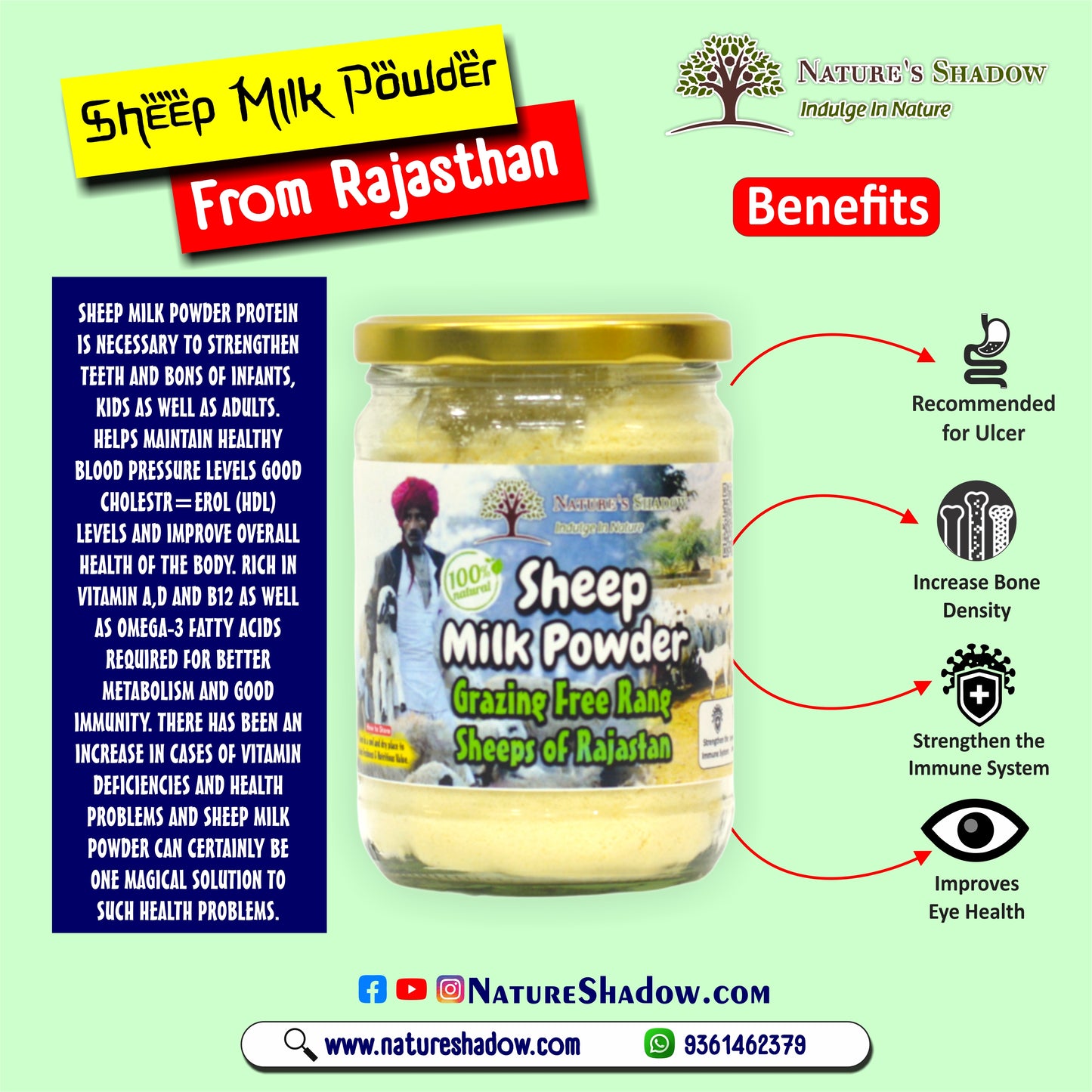 Sheep Milk Powder – Grazing  Free Range Sheeps of Rajasthan