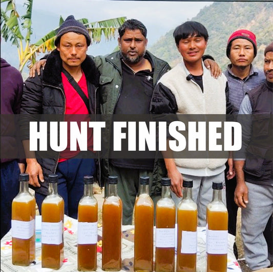 BHUTAN - Burrow Honey Or Honey From Bushes Or Cliffs In The Wilderness Of Bhutan Direct Extraction - Hunt During The Month Of Jan 2026