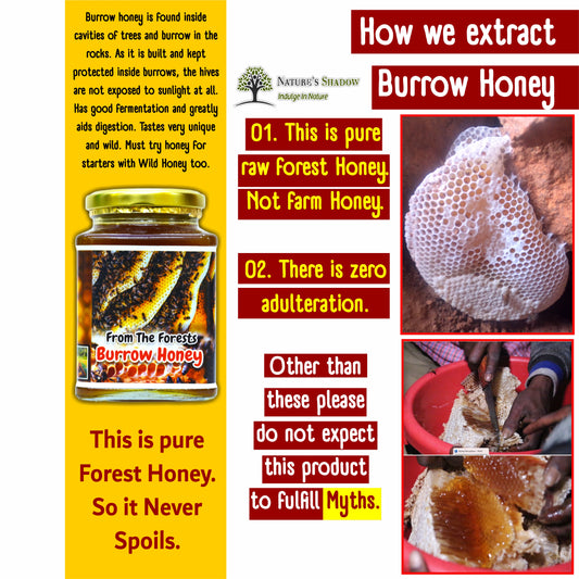Burrow Honey From The Forests - Pondhu Thaen