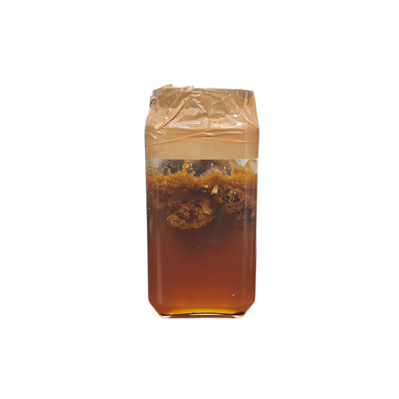 Burrow Honey From Touch Me Not Flowers - May 2026