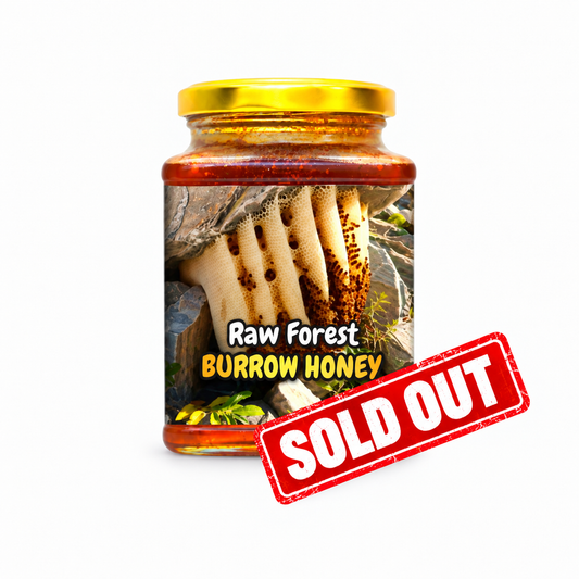 Burrow Honey From The Forests - Pondhu Thaen