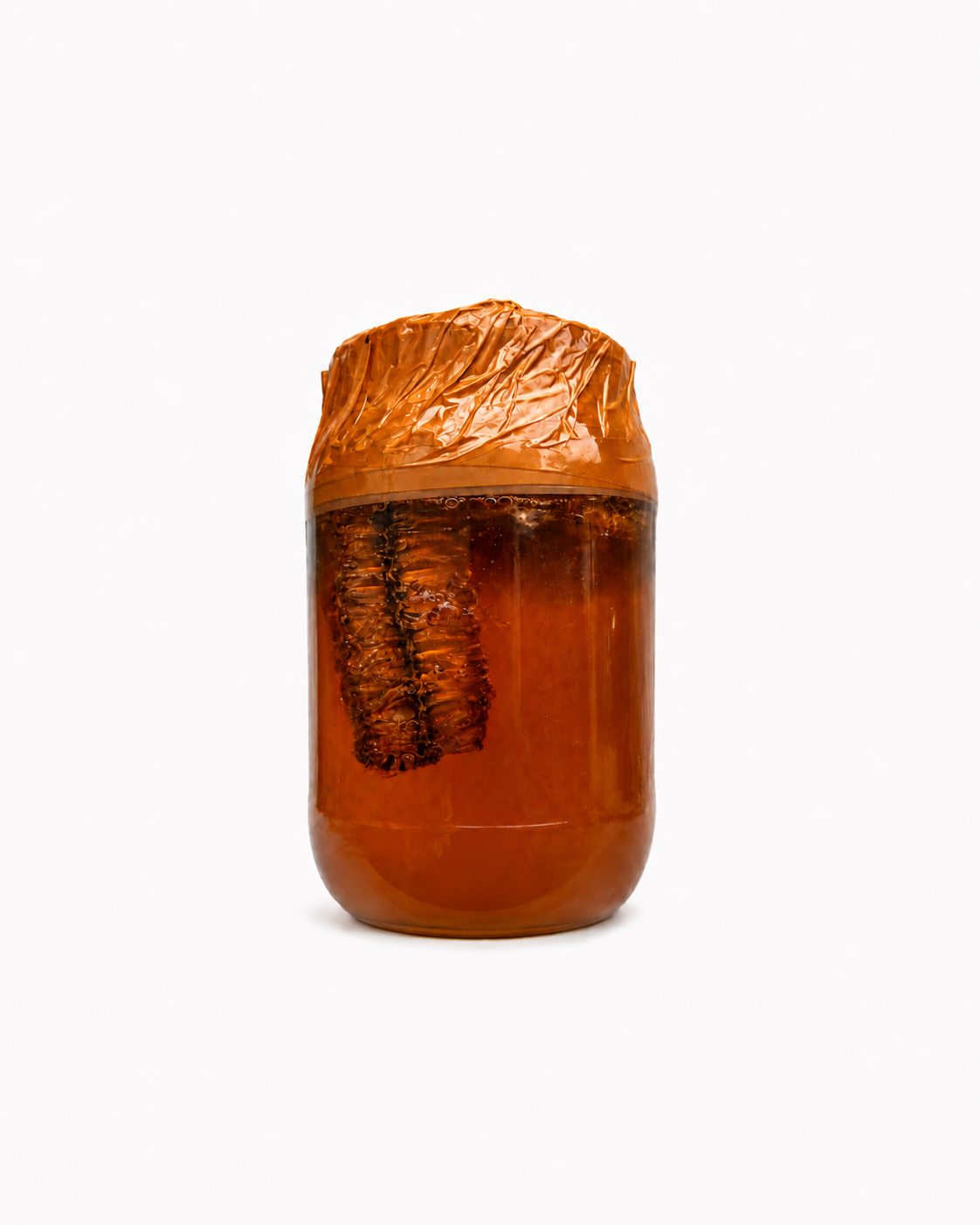 Paalai poo Nectar - 1 Kg - With Hive