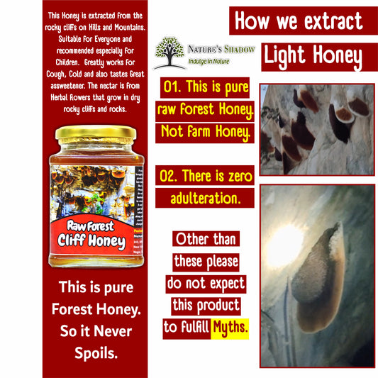 Raw Forest Cliff Honey - South Indian Origin