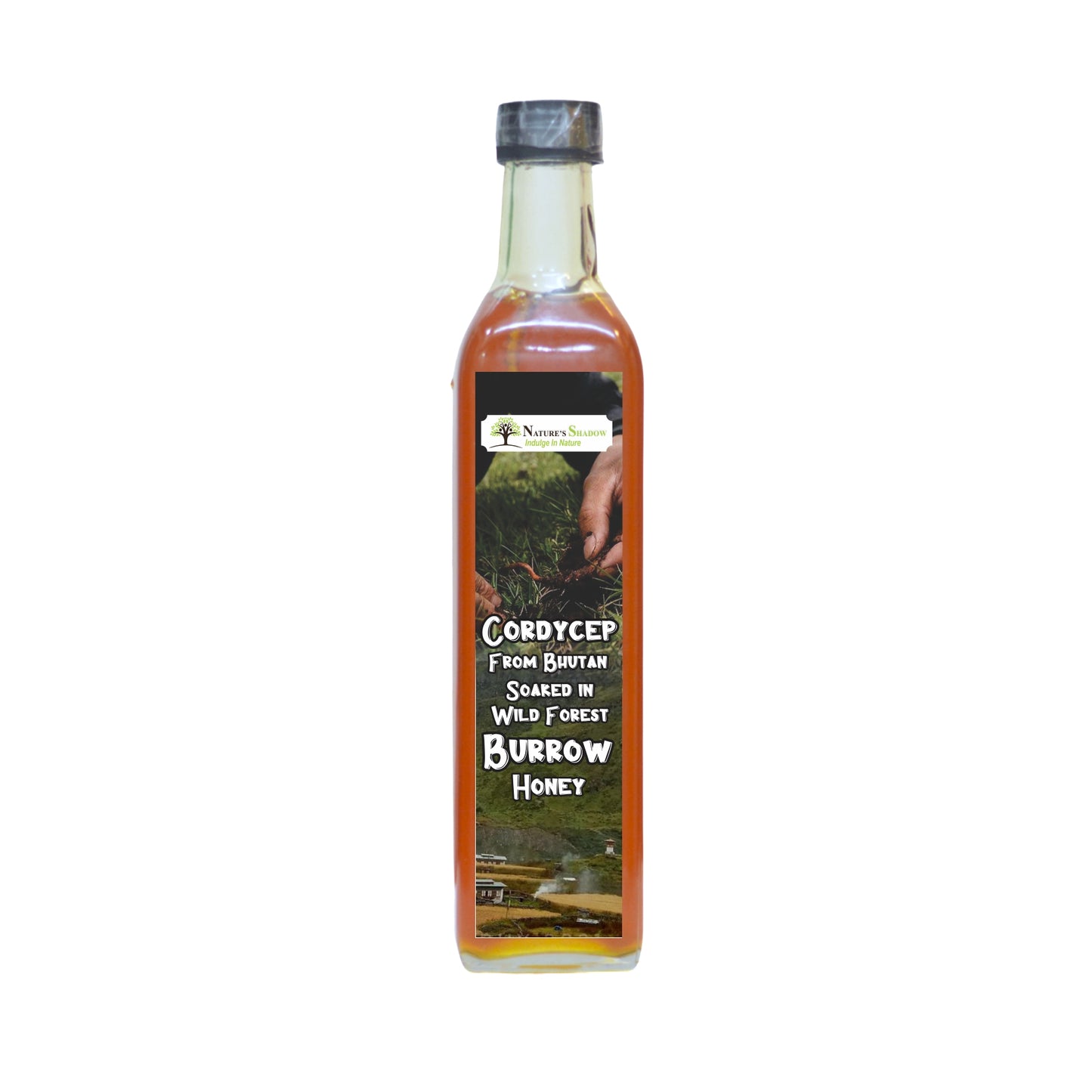 Cordycep From The Bhutanese Wild - Laya Valley - 1 Pc - Soaked in Burrow Honey From The Wild