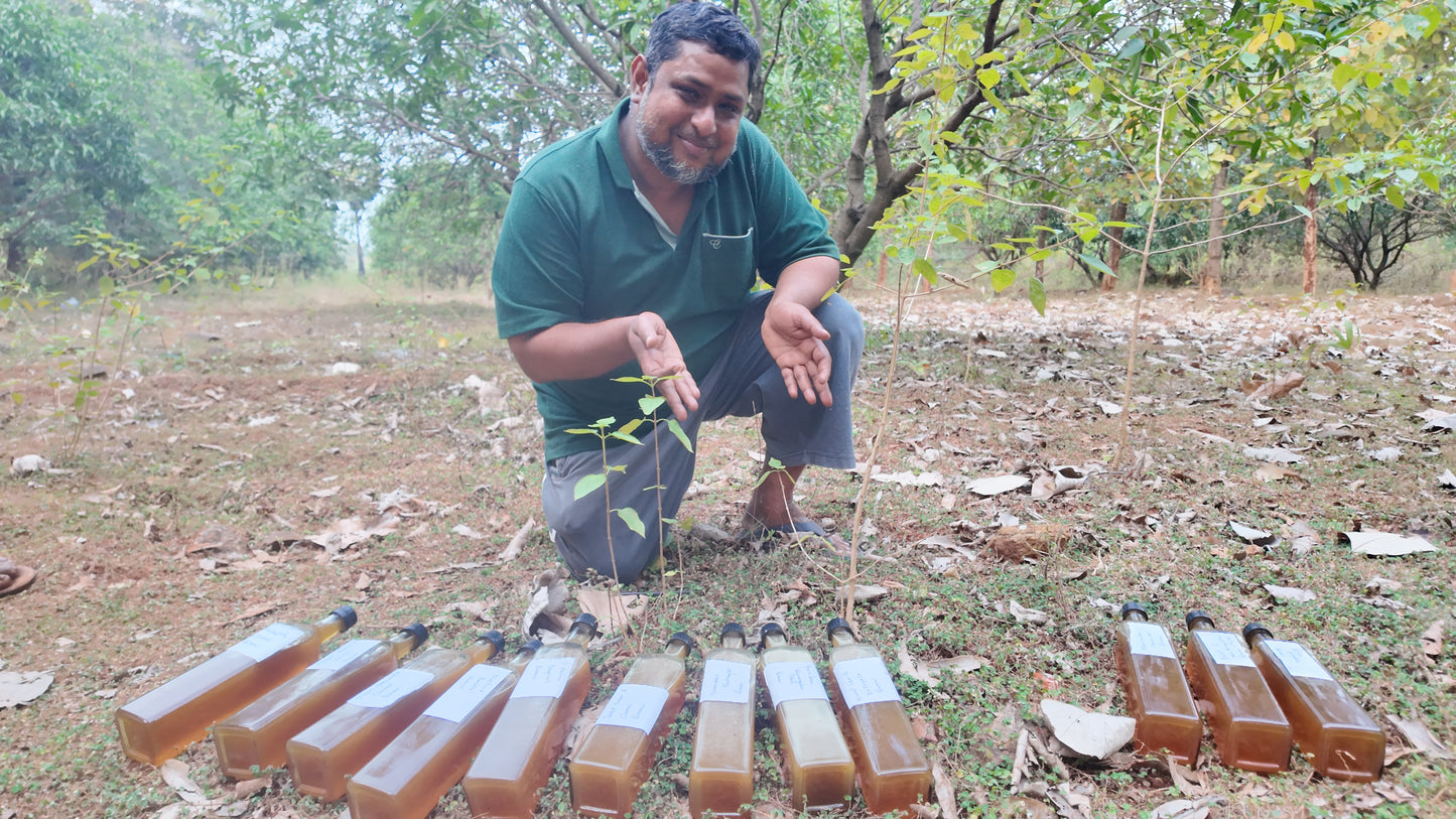 Virtual Stingless Bee Honey Harvest Experience: Harvest Your Own Pot of Raw Honey from The Wild!  -  Before The End of Feb 2026